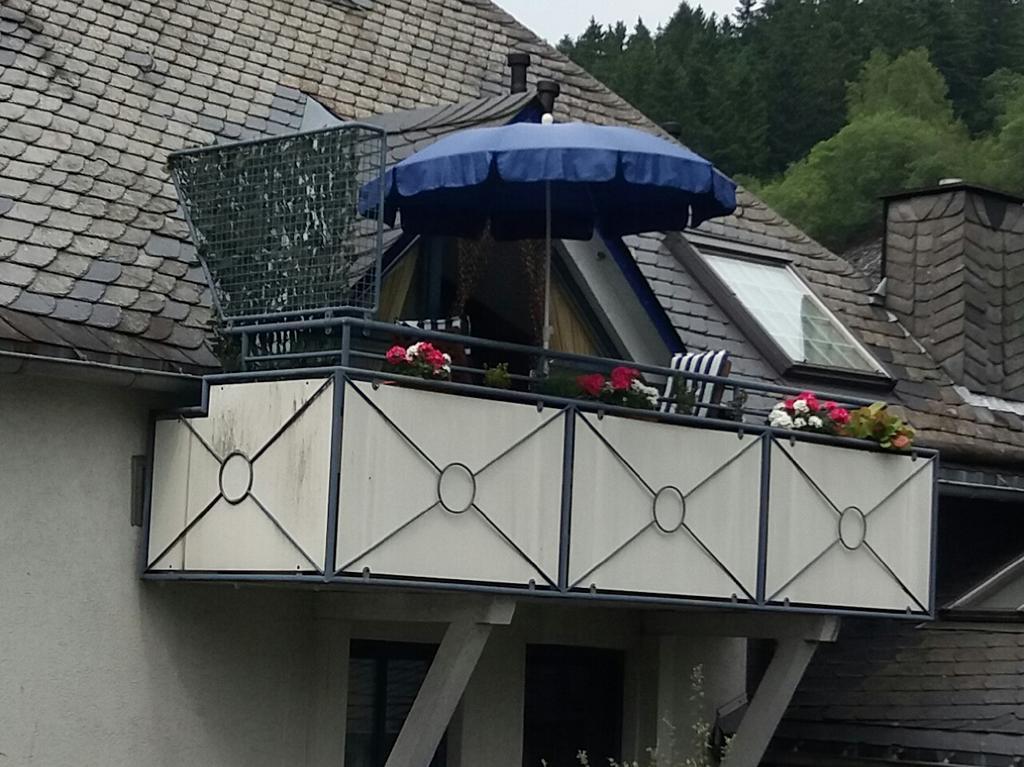 Haus Elsholz Willingen Apartamento Willingen  Exterior foto