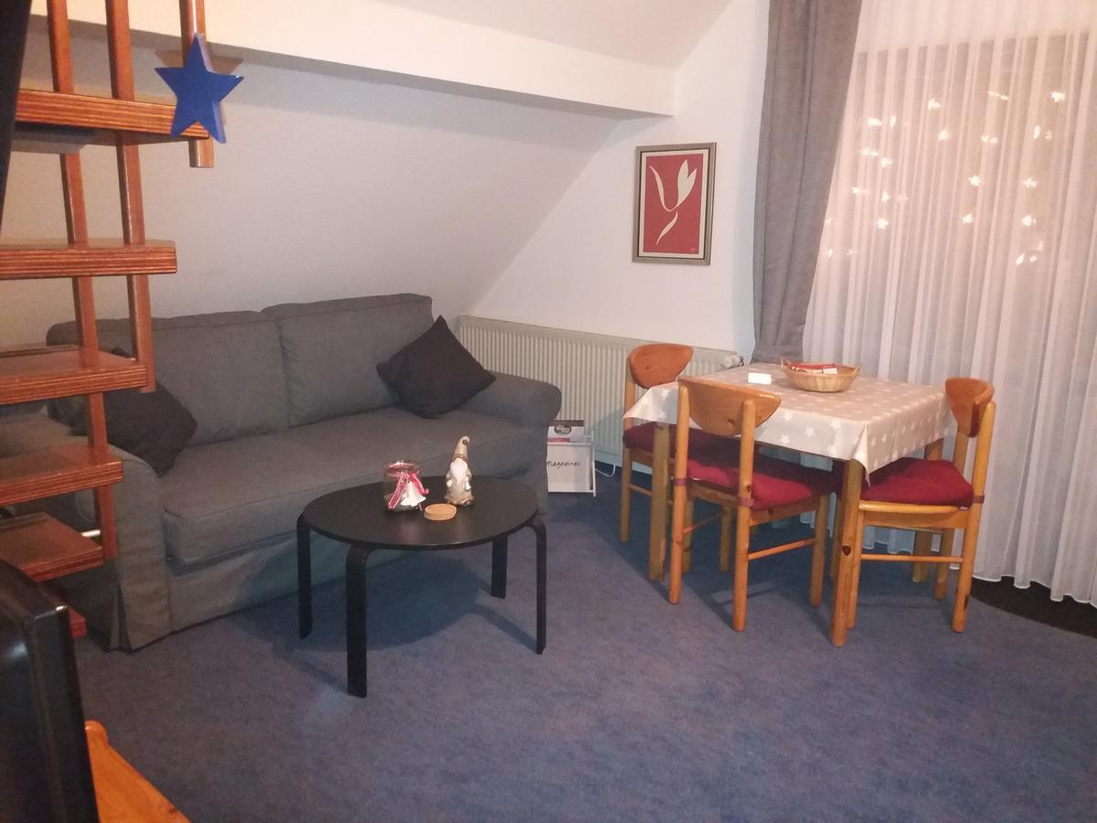 Haus Elsholz Willingen Apartamento Exterior foto